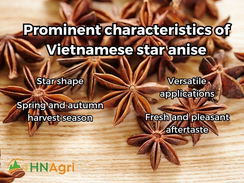 quality-and-benefits-of-vietnamese-star-anise-for-wholesalers-3
