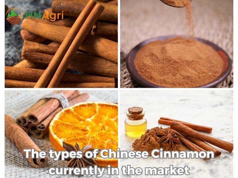 chinese-cinnamon-unveiled-insights-and-opportunities-for-wholesalers-3