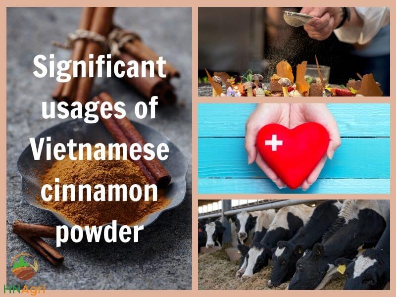 the-immense-potential-of-vietnamese-cinnamon-powder-4