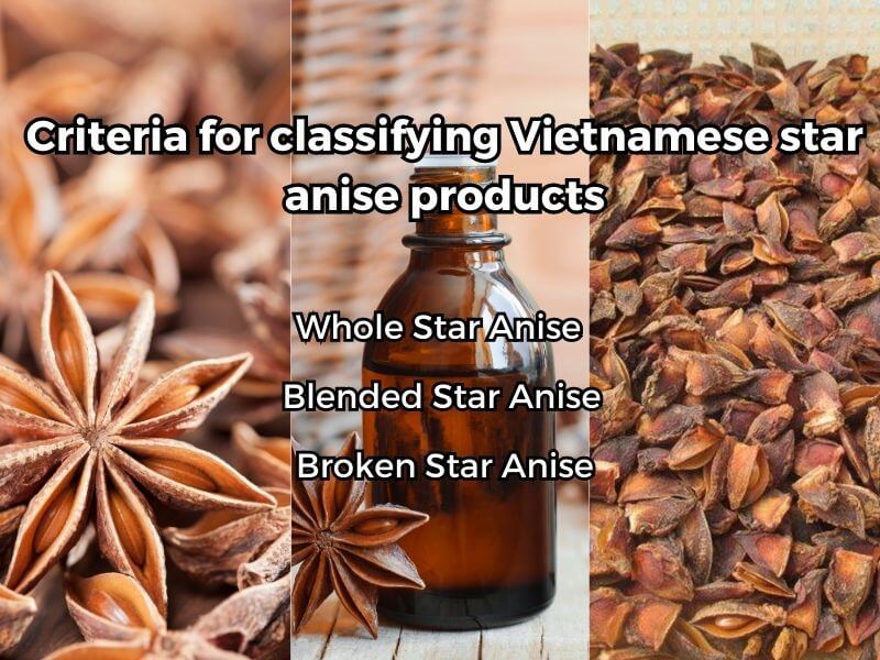 quality-and-benefits-of-vietnamese-star-anise-for-wholesalers-4