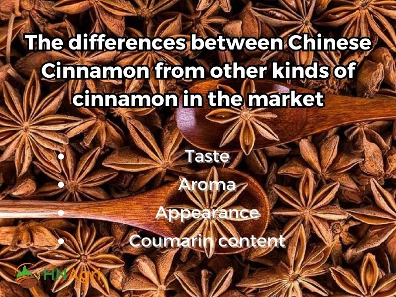 chinese-cinnamon-unveiled-insights-and-opportunities-for-wholesalers-4