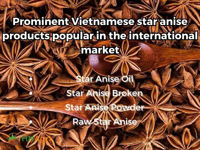 quality-and-benefits-of-vietnamese-star-anise-for-wholesalers-5