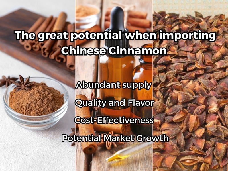 chinese-cinnamon-unveiled-insights-and-opportunities-for-wholesalers-5