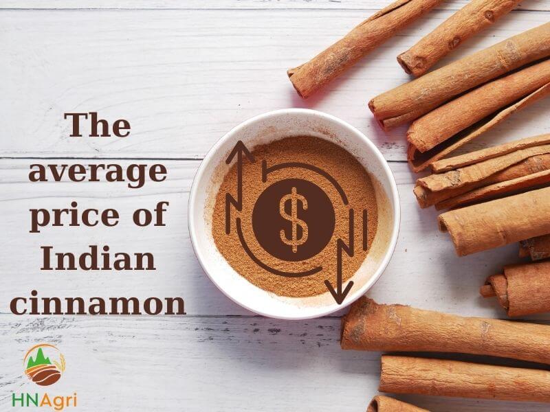 all-about-indian-cinnamon-that-should-not-be-missed-4