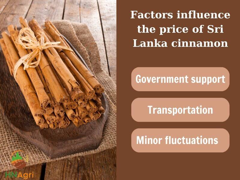 sri-lankan-cinnamon-potential-merchandise-that-you-cannot-ignore-6