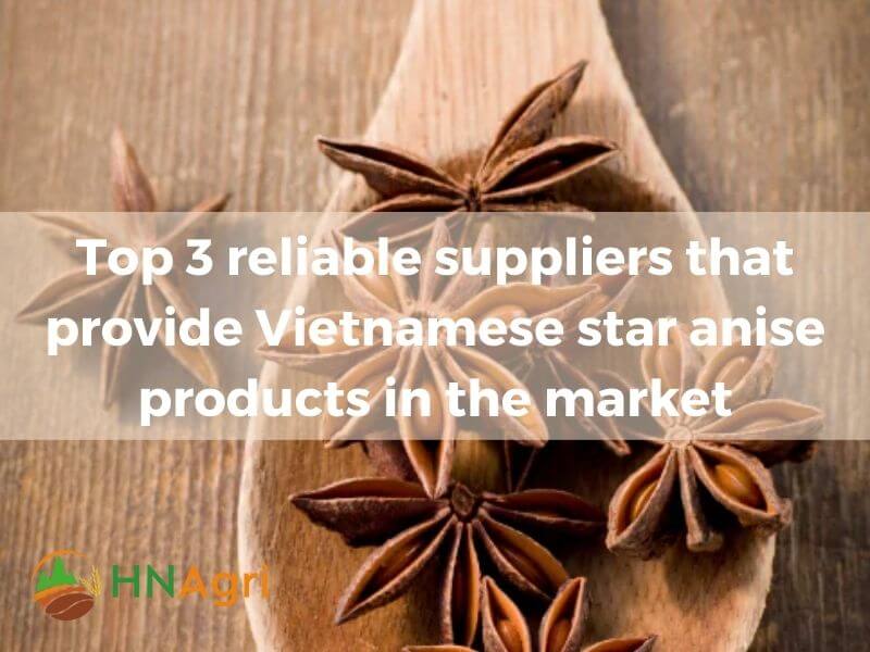 quality-and-benefits-of-vietnamese-star-anise-for-wholesalers-7