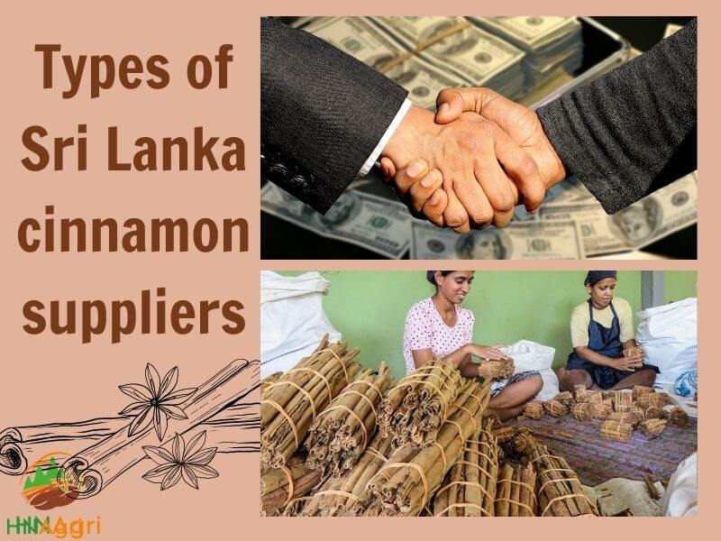 sri-lankan-cinnamon-potential-merchandise-that-you-cannot-ignore-7