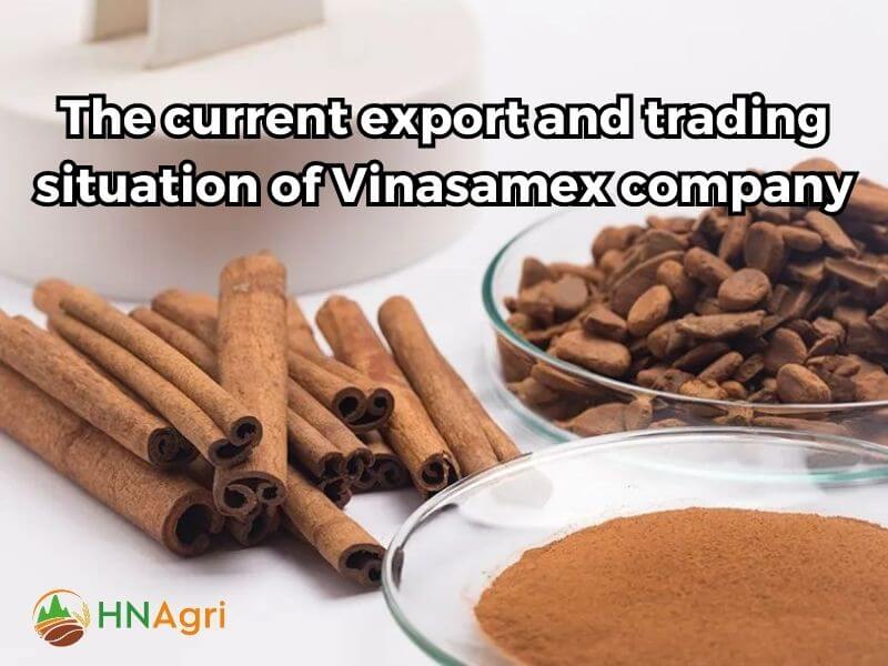 vinasamex-company-review-empowering-wholesalers-in-today-market-7