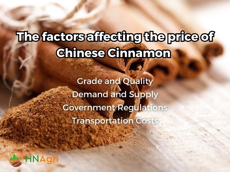 chinese-cinnamon-unveiled-insights-and-opportunities-for-wholesalers-7