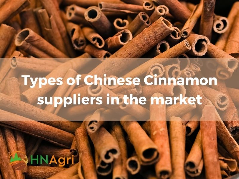 chinese-cinnamon-unveiled-insights-and-opportunities-for-wholesalers-8