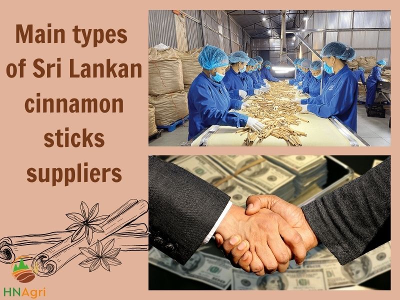 the-vast-capabilities-of-sri-lankan-cinnamon-sticks-8