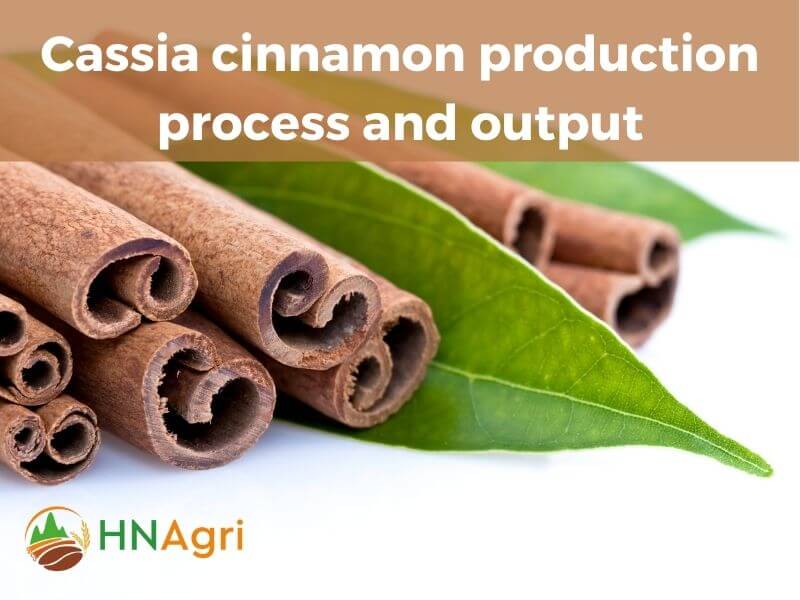 cassia-cinnamon-a-wholesale-guide-to-maximum-profit-margins-5