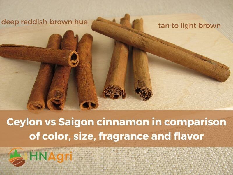 ceylon-vs-saigon-cinnamon-which-is-the-superior-option-3