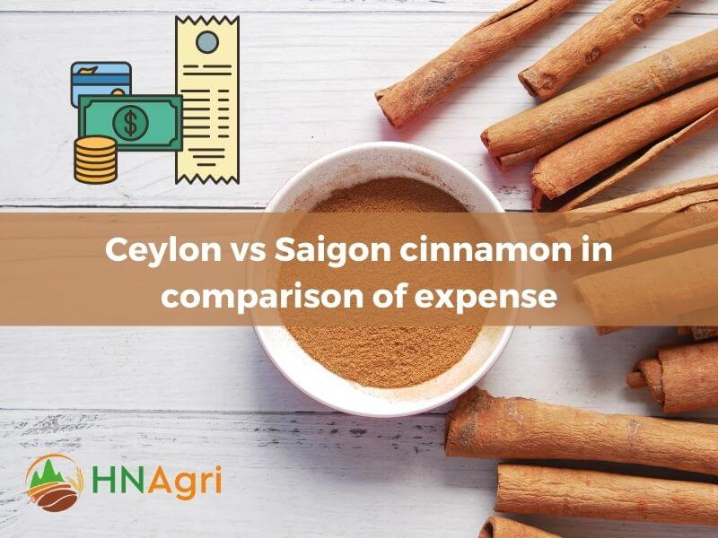 ceylon-vs-saigon-cinnamon-which-is-the-superior-option-7