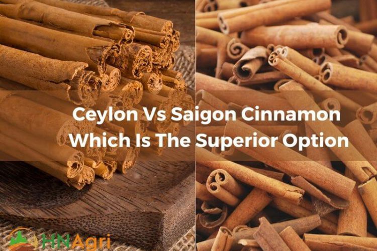 ceylon-vs-saigon-cinnamon-which-is-the-superior-option-1