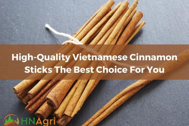 high-quality-vietnamese-cinnamon-sticks-the-best-choice-for-you-1