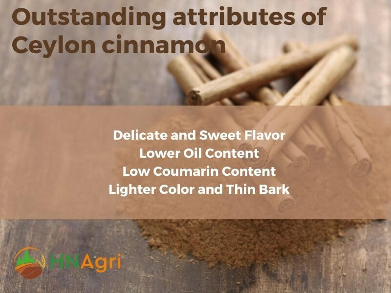 ceylon-cinnamon-and-everything-you-should-know-3