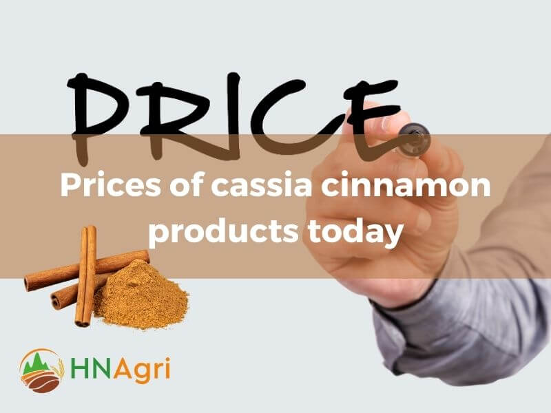 cassia-cinnamon-a-wholesale-guide-to-maximum-profit-margins-3
