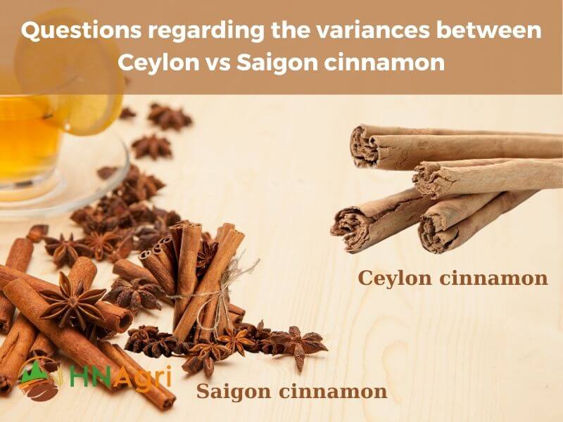 ceylon-vs-saigon-cinnamon-which-is-the-superior-option-2