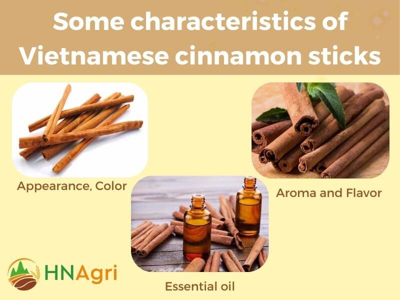 high-quality-vietnamese-cinnamon-sticks-the-best-choice-for-you-2