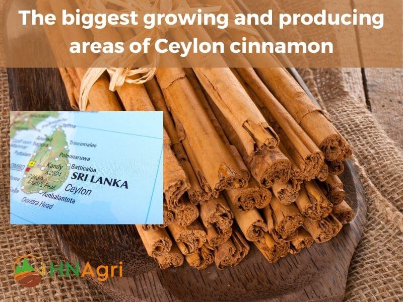 top-7-cinnamon-brands-for-quality-and-affordability-5
