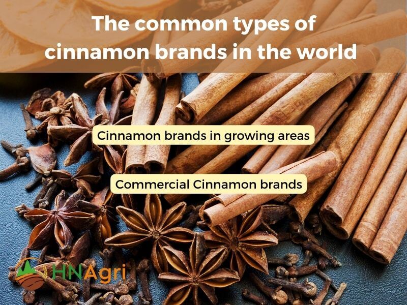 top-7-cinnamon-brands-for-quality-and-affordability-3