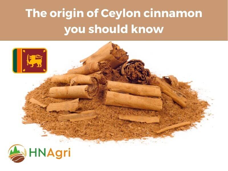 ceylon-cinnamon-and-everything-you-should-know-2