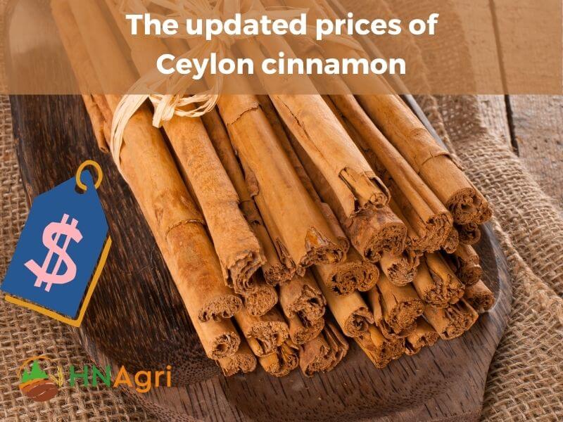 ceylon-cinnamon-and-everything-you-should-know-6