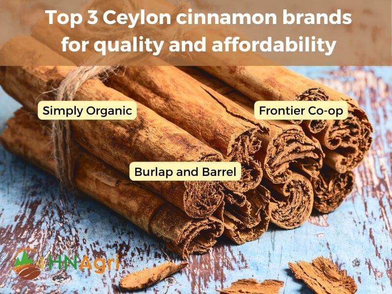 top-7-cinnamon-brands-for-quality-and-affordability-6