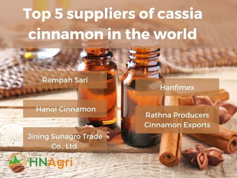 cassia-cinnamon-a-wholesale-guide-to-maximum-profit-margins-7