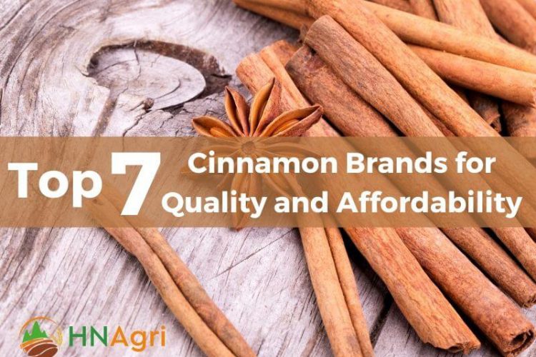 top-7-cinnamon-brands-for-quality-and-affordability-1