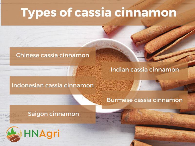 cassia-cinnamon-a-wholesale-guide-to-maximum-profit-margins-2