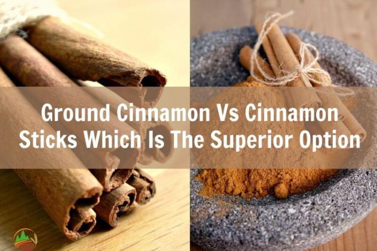 ground-cinnamon-vs-cinnamon-sticks-which-is-the-superior-option
