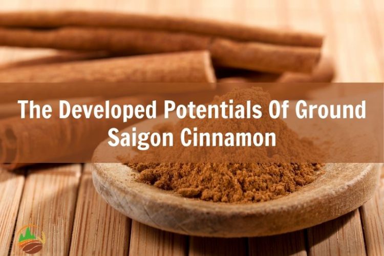 the-developed-potentials-of-ground-saigon-cinnamon