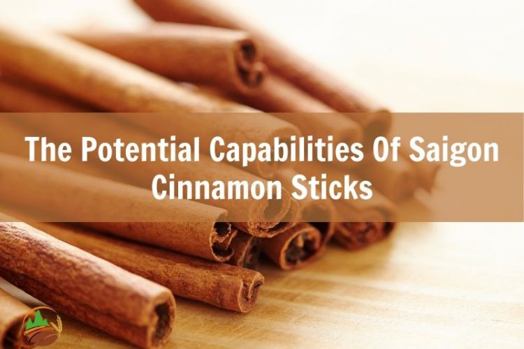 the-potential-capabilities-of-saigon-cinnamon-sticks