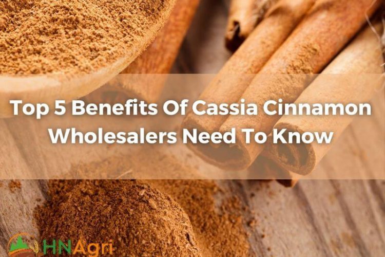 top-5-benefits-of-cassia-cinnamon-wholesalers-need-to-know