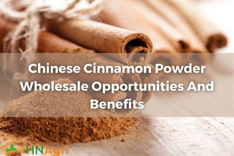 chinese-cinnamon-powder-wholesale-opportunities-and-benefits