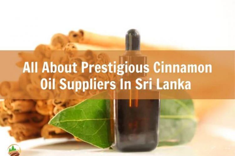 all-about-prestigious-cinnamon-oil-suppliers-in-sri-lanka