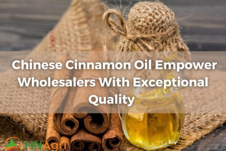 chinese-cinnamon-oil-empower-wholesalers-with-exceptional-quality