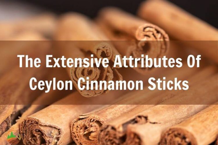 the-extensive-attributes-of-ceylon-cinnamon-sticks
