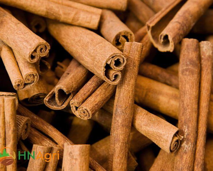 vietnamese-cinnamon-stick-7-vcs07
