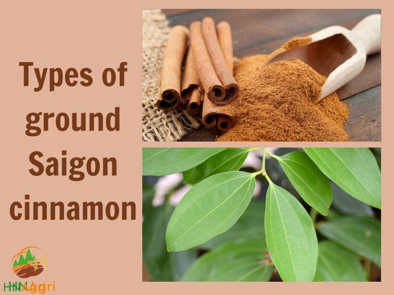 the-developed-potentials-of-ground-saigon-cinnamon-1
