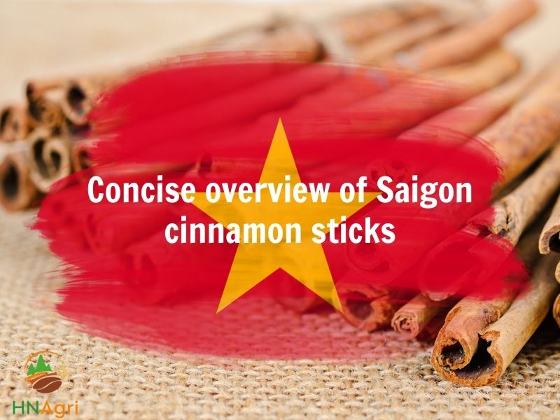 the-potential-capabilities-of-saigon-cinnamon-sticks-1