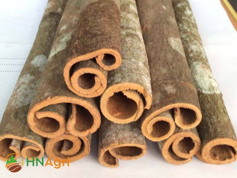 vietnamese-cinnamon-tube-3-vct3-1