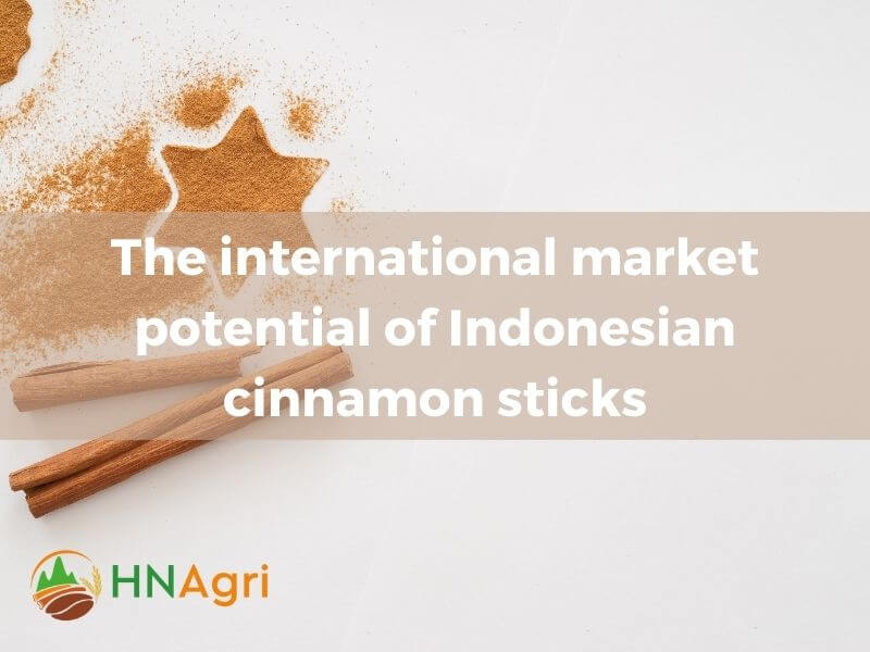 indonesian-cinnamon-sticks-superior-quality-for-wholesale-buyers-2