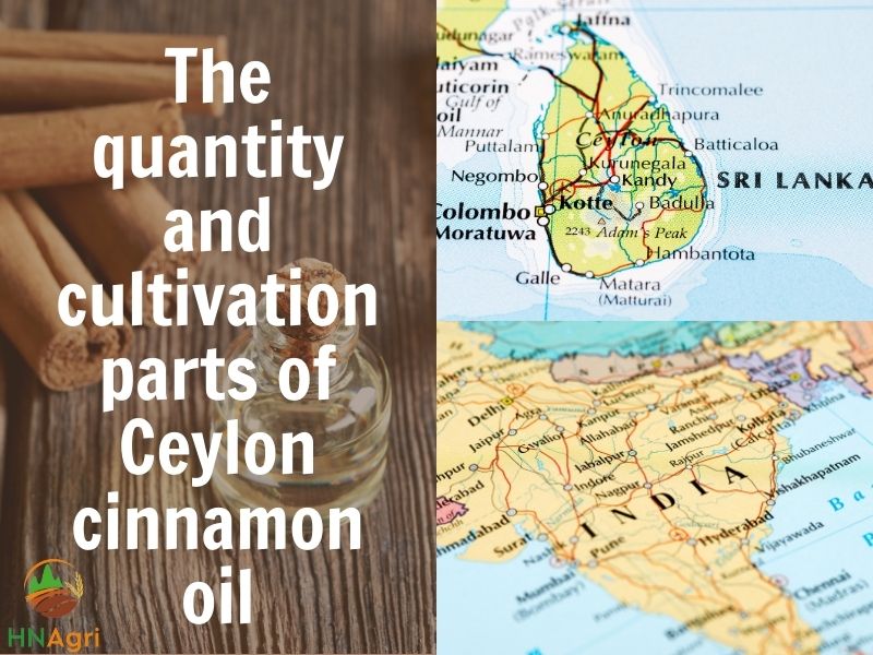 exploring-the-profits-and-revenues-of-ceylon-cinnamon-oil-2