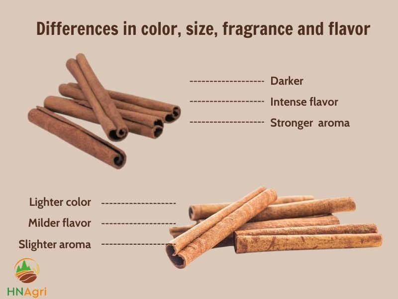 which-to-choose-between-korintje-vs-vietnamese-cinnamon-2