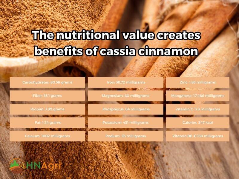 top-5-benefits-of-cassia-cinnamon-wholesalers-need-to-know-2