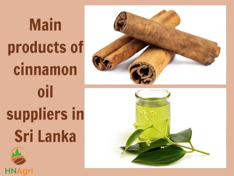 all-about-prestigious-cinnamon-oil-suppliers-in-sri-lanka-2