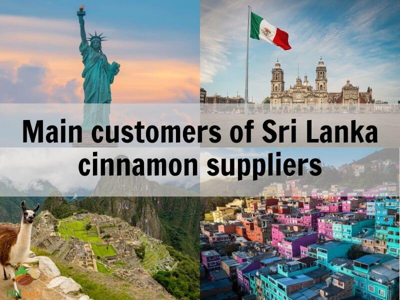 prestigious-sri-lanka-cinnamon-suppliers-that-you-should-know-3